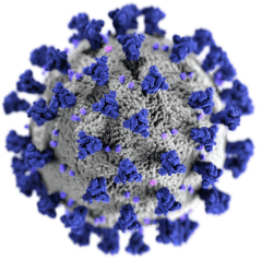 Home Covid 19 Virus Illustration Small